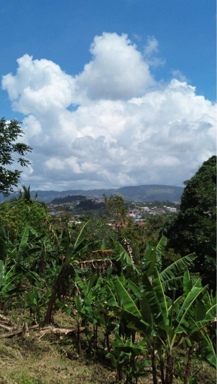 Fifth image of Bloomfield in Mandeville, Manchester, Jamaica - property is For Sale