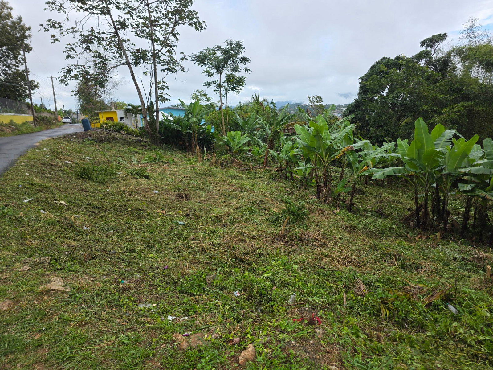 Seventh image of Bloomfield in Mandeville, Manchester, Jamaica - property is For Sale