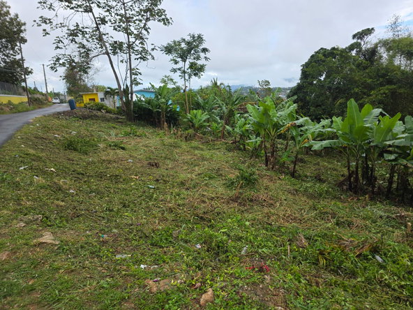 Seventh image of Bloomfield in Mandeville, Manchester, Jamaica - property is For Sale