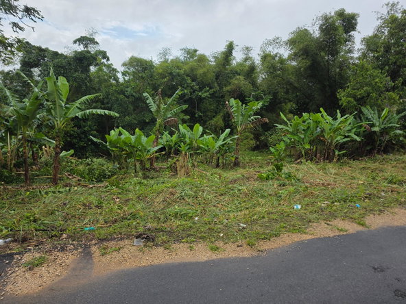 Eighth image of Bloomfield in Mandeville, Manchester, Jamaica - property is For Sale