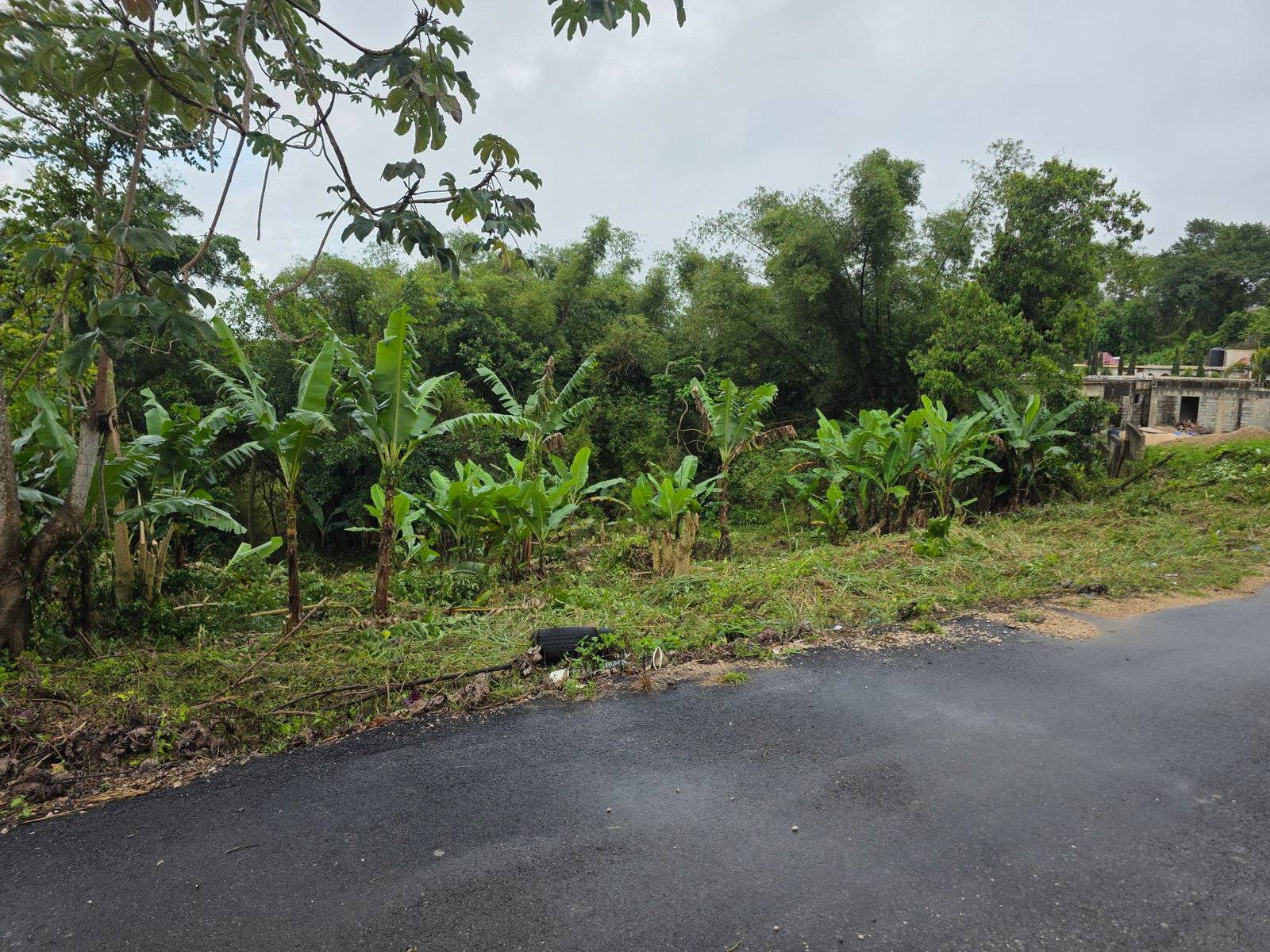 Ninth image of Bloomfield in Mandeville, Manchester, Jamaica - property is For Sale