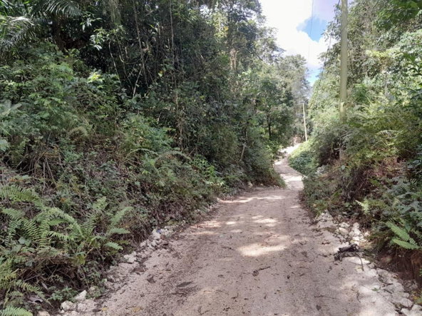 Second image of Lot-1 Gayle District St. Mary in Gayle, St. Mary, Jamaica - property is For Sale