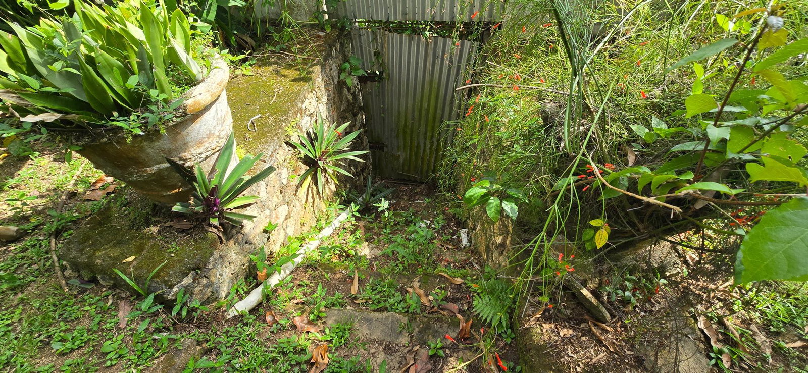 Twenty-Seventh image of 8 Banana Walk in Kingston 8, St. Andrew, Jamaica - property is For Sale