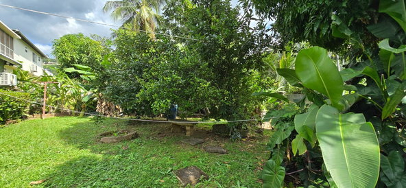 Twenty-Ninth image of 8 Banana Walk in Kingston 8, St. Andrew, Jamaica - property is For Sale