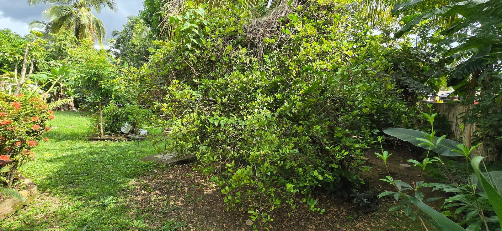Thirtieth image of 8 Banana Walk in Kingston 8, St. Andrew, Jamaica - property is For Sale