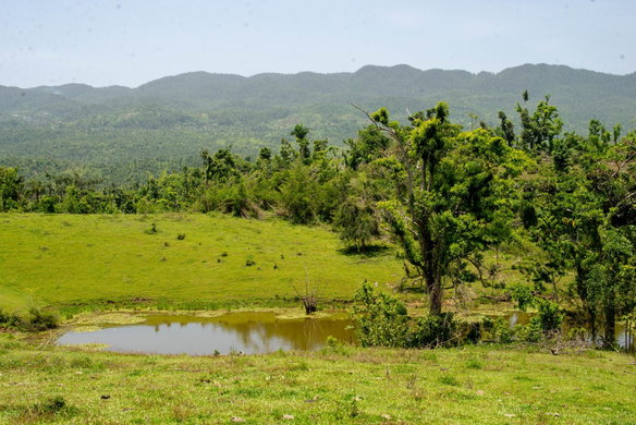 First image of Hopewell Plantation, st in St. Leonards, Westmoreland, Jamaica - property is For Sale