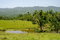 First image of Hopewell Plantation, st in St. Leonards, Westmoreland, Jamaica - property is For Sale