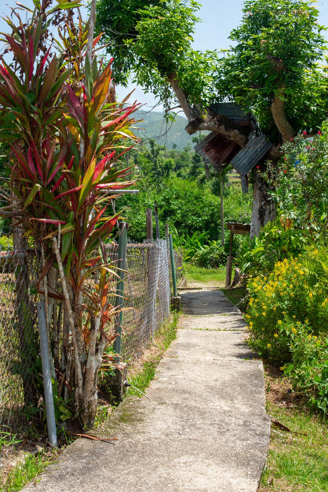 Nineteenth image of Hopewell Plantation, st in St. Leonards, Westmoreland, Jamaica - property is For Sale