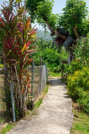 Nineteenth image of Hopewell Plantation, st in St. Leonards, Westmoreland, Jamaica - property is For Sale