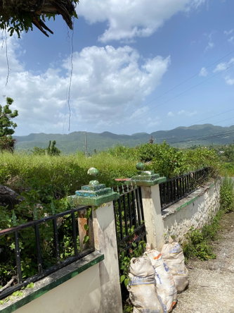 Twenty-First image of Hopewell Plantation, st in St. Leonards, Westmoreland, Jamaica - property is For Sale