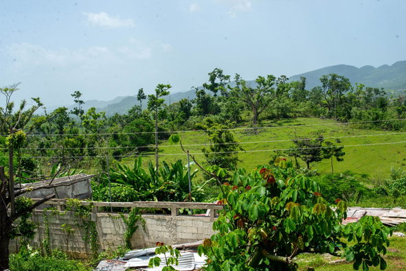 Fifth image of Hopewell Plantation, st in St. Leonards, Westmoreland, Jamaica - property is For Sale