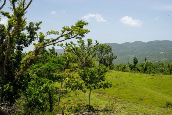 Sixth image of Hopewell Plantation, st in St. Leonards, Westmoreland, Jamaica - property is For Sale