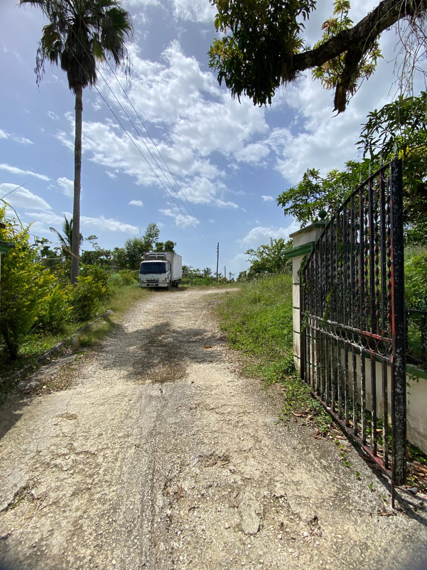 Seventh image of Hopewell Plantation, st in St. Leonards, Westmoreland, Jamaica - property is For Sale