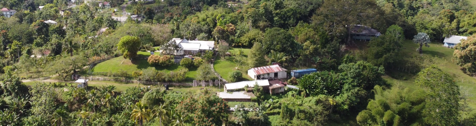 Eighth image of Hopewell Plantation, st in St. Leonards, Westmoreland, Jamaica - property is For Sale