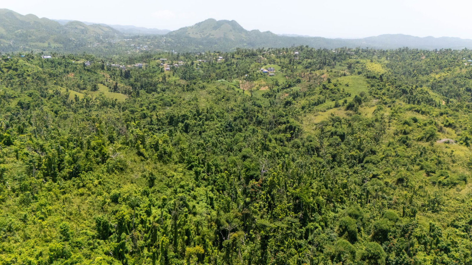Ninth image of Hopewell Plantation, st in St. Leonards, Westmoreland, Jamaica - property is For Sale