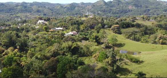 First image of Hopewell Plantation, st in St. Leonards, Westmoreland, Jamaica - property is For Sale