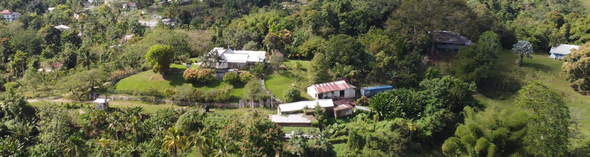 Second image of Hopewell Plantation, st in St. Leonards, Westmoreland, Jamaica - property is For Sale