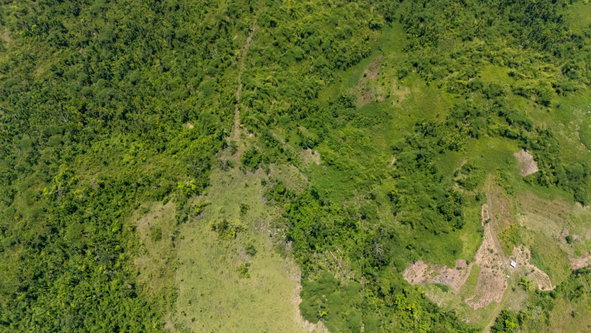 Sixth image of Hopewell Plantation, st in St. Leonards, Westmoreland, Jamaica - property is For Sale