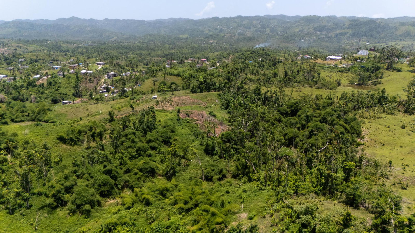 Eighth image of Hopewell Plantation, st in St. Leonards, Westmoreland, Jamaica - property is For Sale