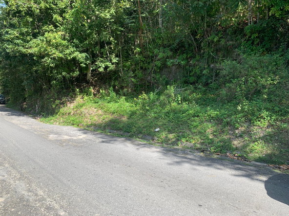 Fifteenth image of 186 Queenhythe in Queenhythe, St. Ann, Jamaica - property is For Sale