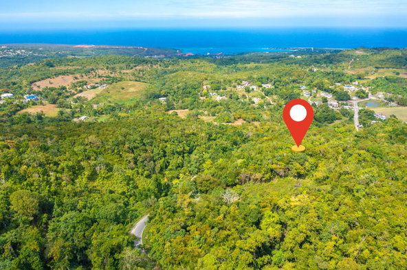 Seventh image of 186 Queenhythe in Queenhythe, St. Ann, Jamaica - property is For Sale