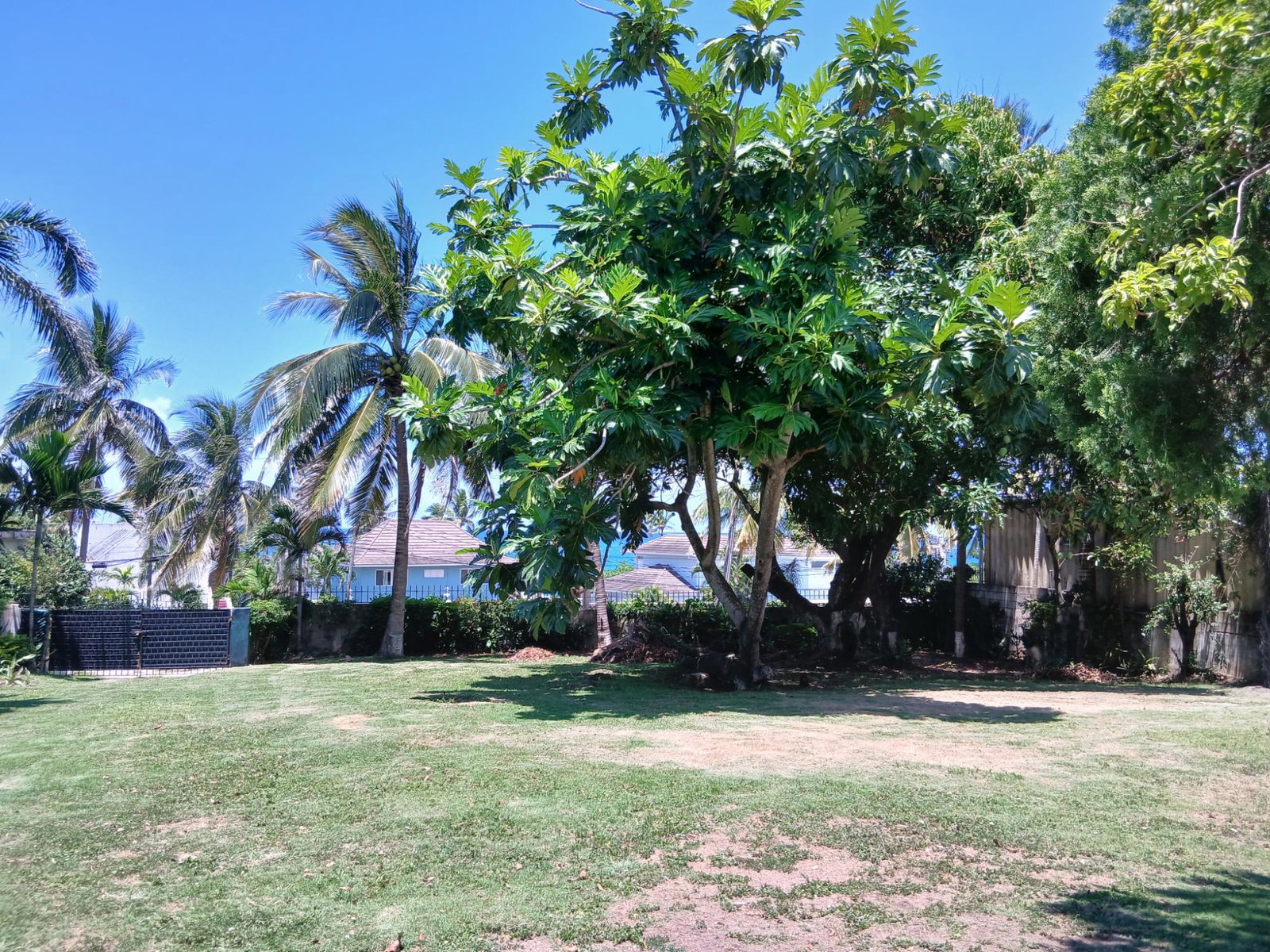 Twenty-Ninth image of 24 Dixon Avenue in Tower Isle, St. Mary, Jamaica - property is For Sale