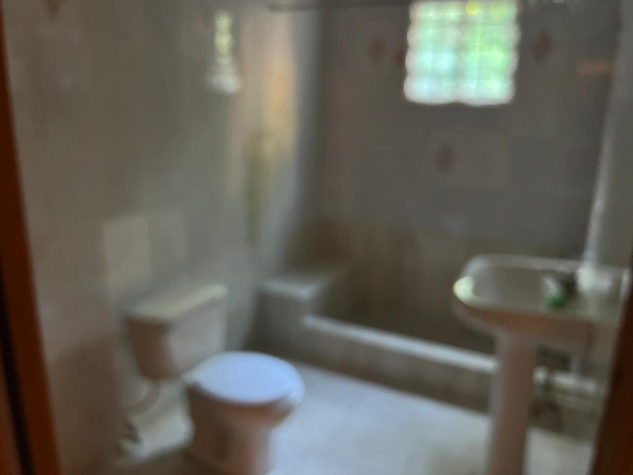 Thirtieth image of 354 Industry Pen, Three Hills in Three Hills, St. Mary, Jamaica - property is For Sale