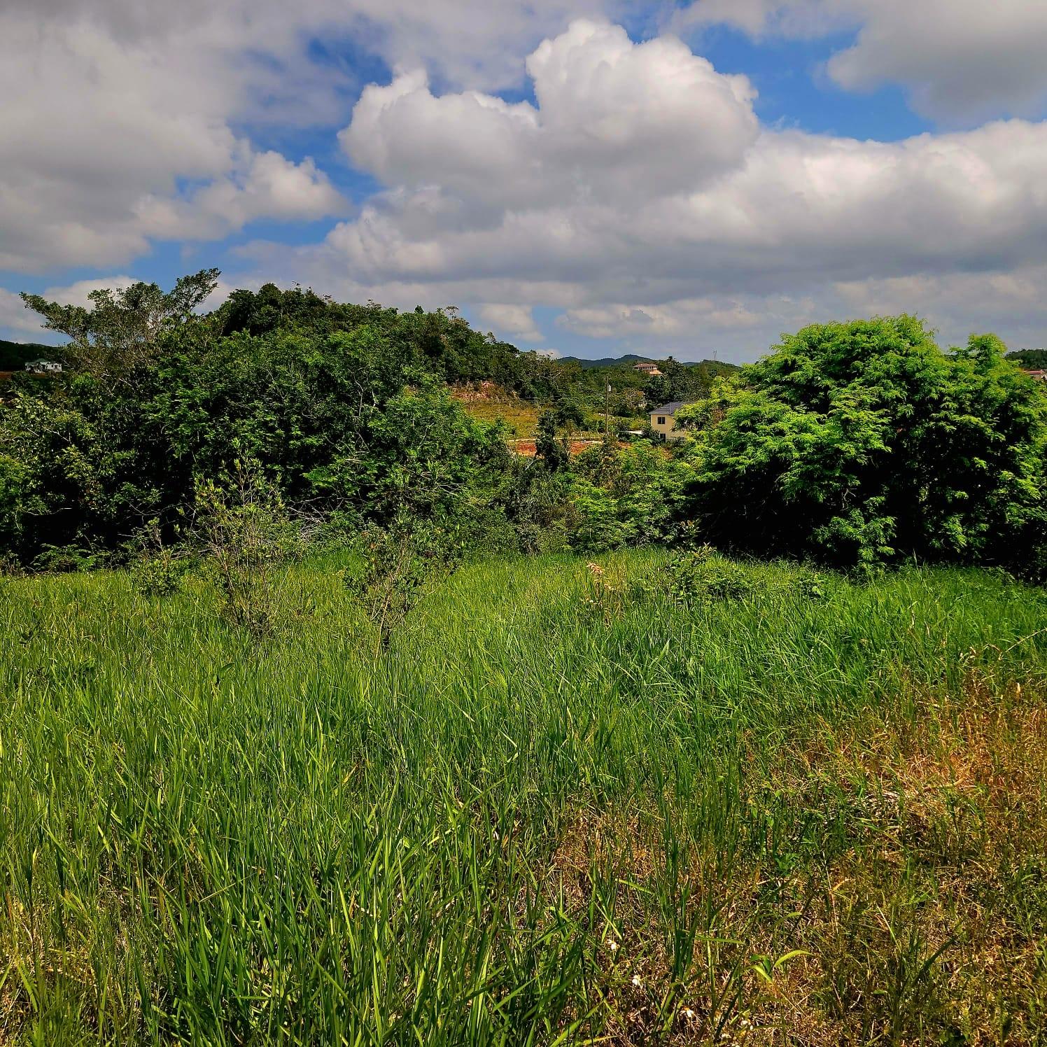 Third image of Red Bank Close/philham dr in Hatfield, Manchester, Jamaica - property is For Sale