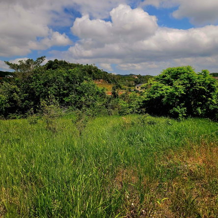 Third image of Red Bank Close/philham dr in Hatfield, Manchester, Jamaica - property is For Sale