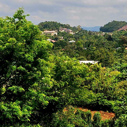 Fourth image of Red Bank Close/philham dr in Hatfield, Manchester, Jamaica - property is For Sale