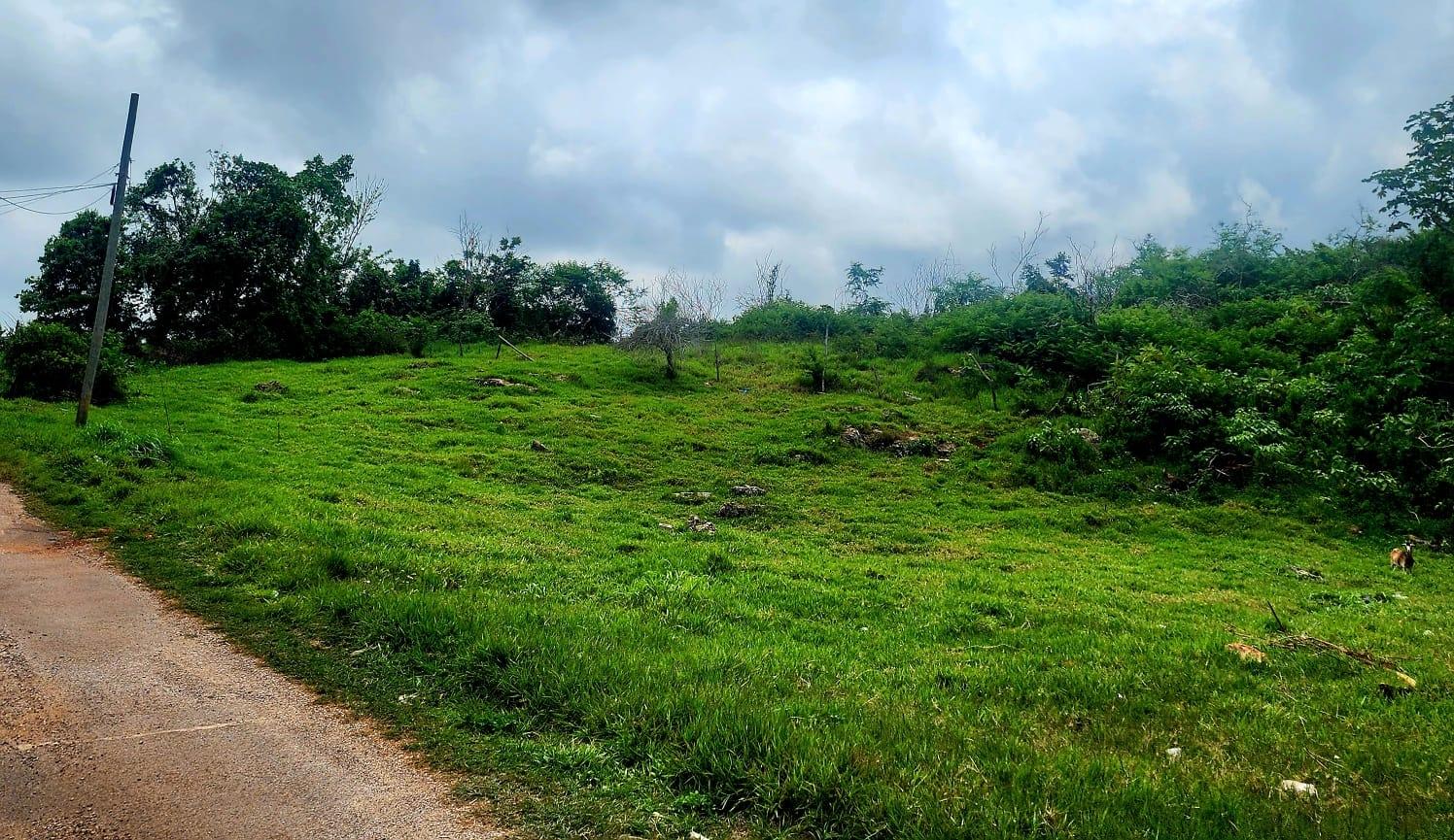 Fifth image of Red Bank Close/philham dr in Hatfield, Manchester, Jamaica - property is For Sale