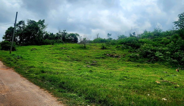 Fifth image of Red Bank Close/philham dr in Hatfield, Manchester, Jamaica - property is For Sale