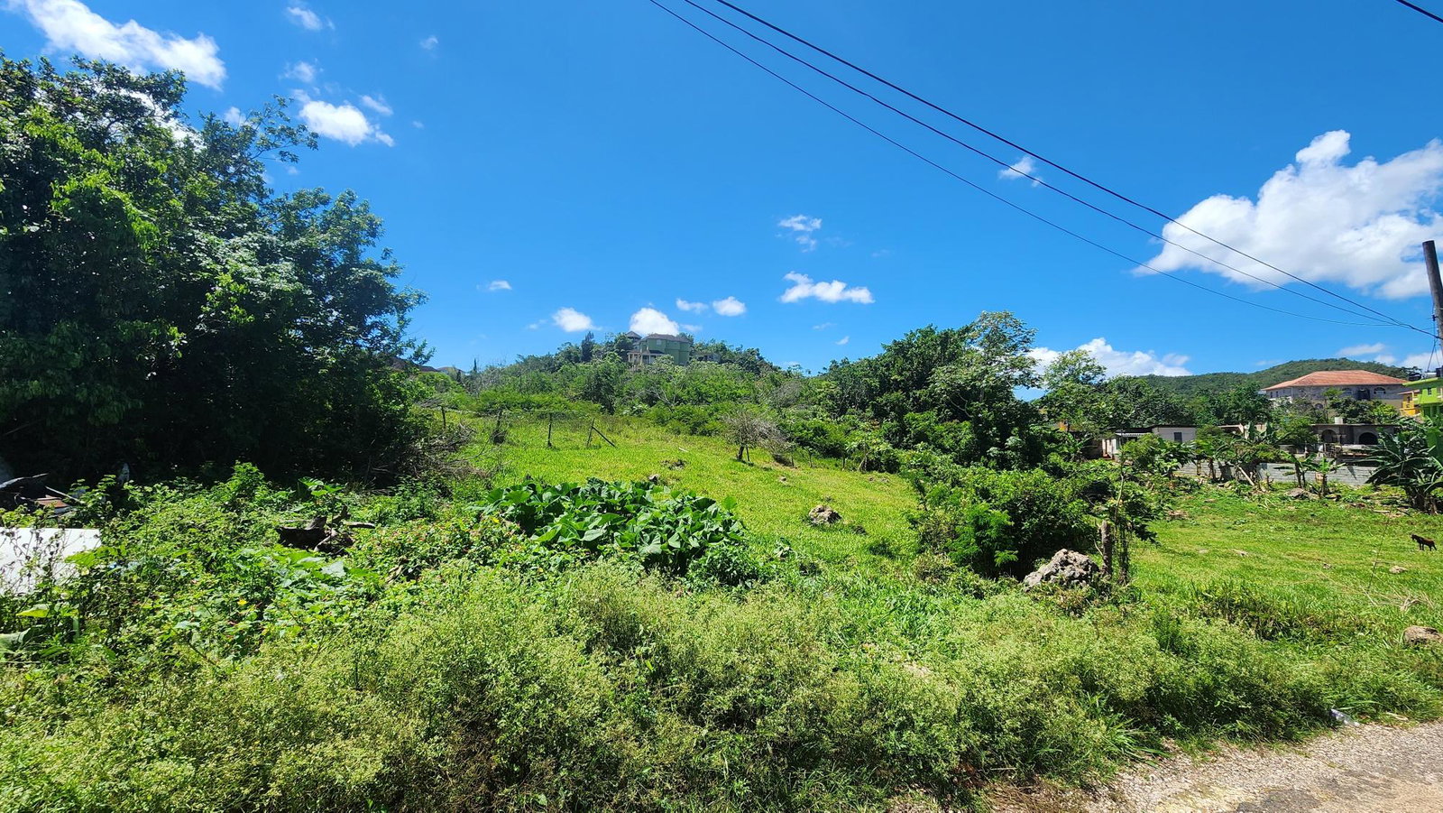 Sixth image of Red Bank Close/philham dr in Hatfield, Manchester, Jamaica - property is For Sale