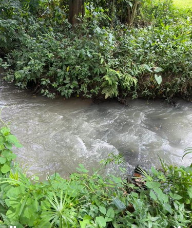 Thirtieth image of Banbury District in Banbury, St. Catherine, Jamaica - property is For Sale