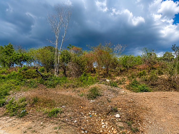 Second image of Treadlight, May Pen, Clar in Treadlight, Clarendon, Jamaica - property is For Sale