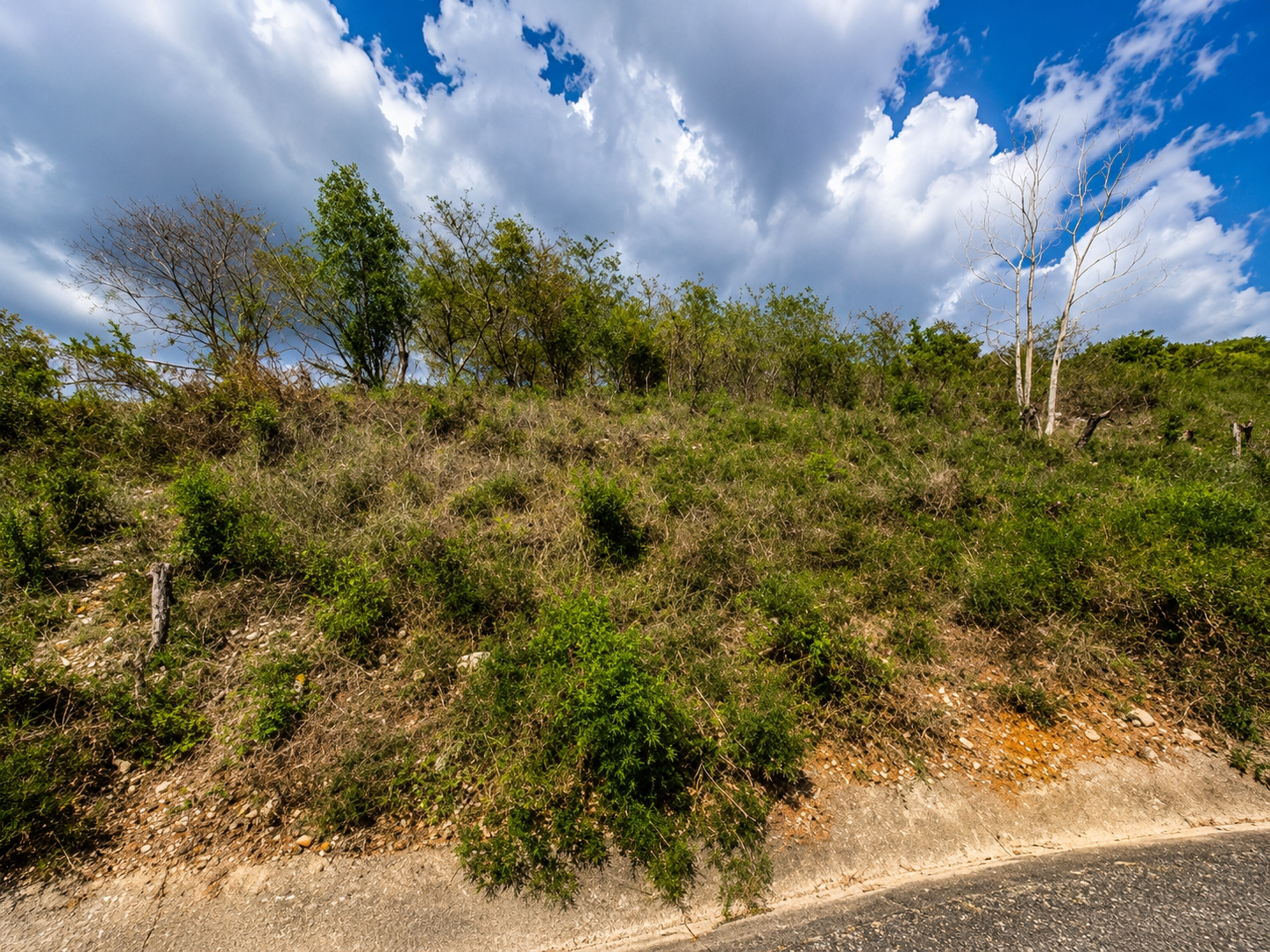 Third image of Treadlight, May Pen, Clar in Treadlight, Clarendon, Jamaica - property is For Sale