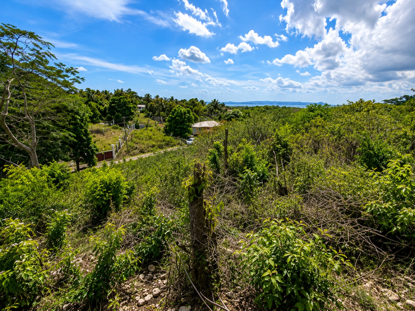 Sixth image of Treadlight, May Pen, Clar in Treadlight, Clarendon, Jamaica - property is For Sale