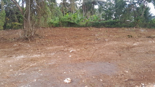 Fifth image of Lot 7- Recreation Drive in Ewarton, St. Catherine, Jamaica - property is For Sale