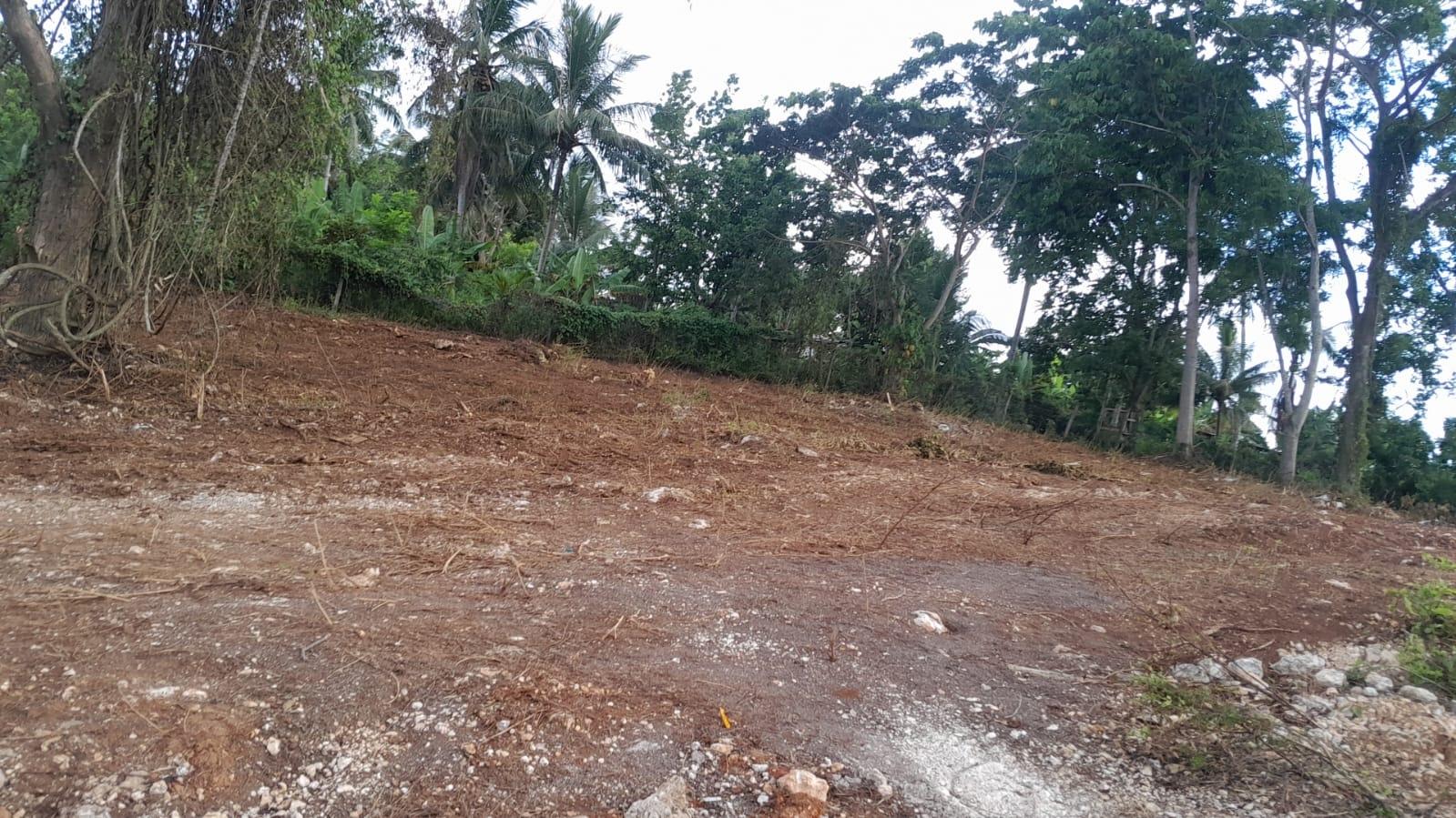 Eighth image of Lot 7- Recreation Drive in Ewarton, St. Catherine, Jamaica - property is For Sale