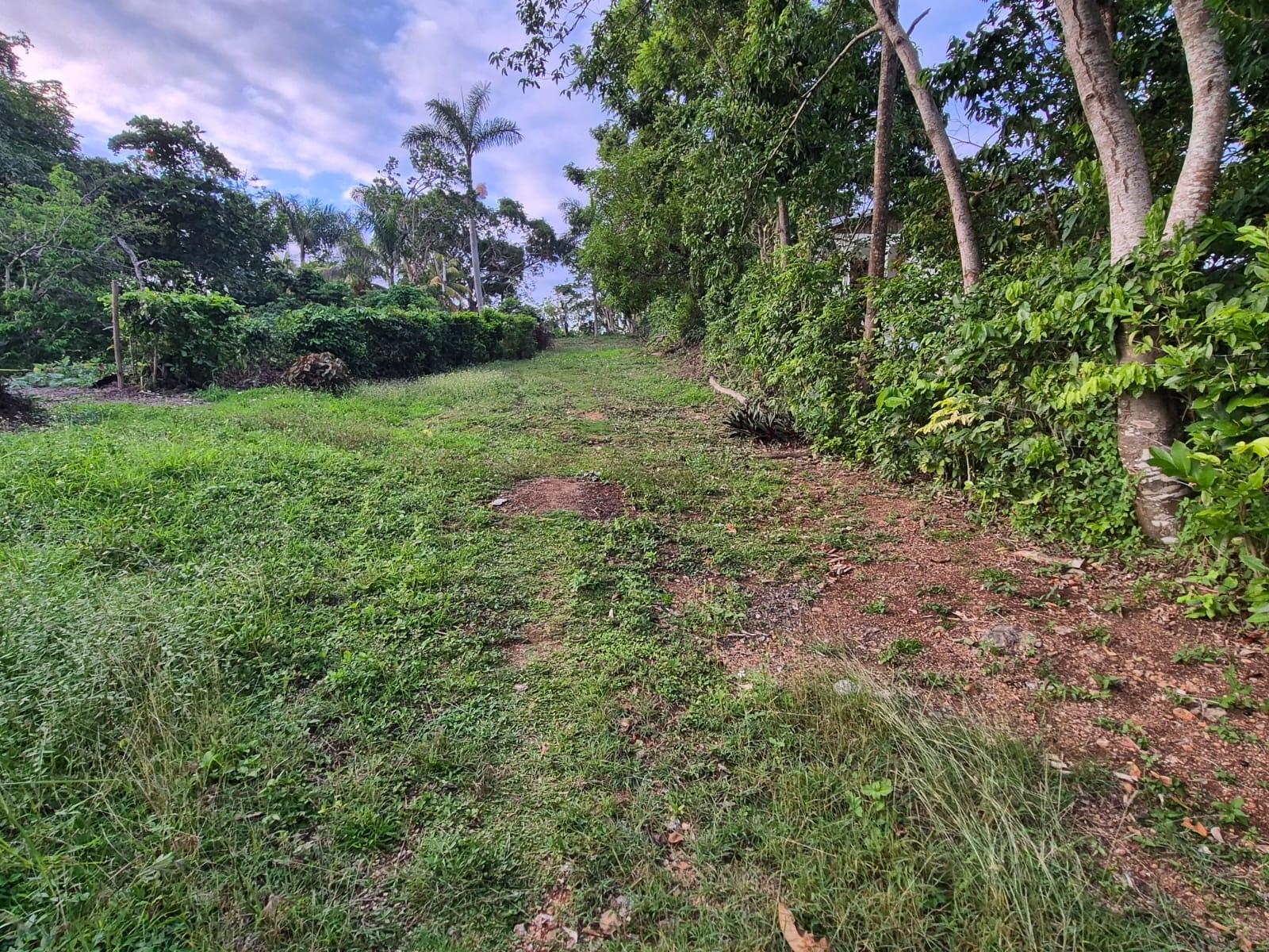 Third image of 00 St. Mary in Oracabessa, St. Mary, Jamaica - property is For Sale