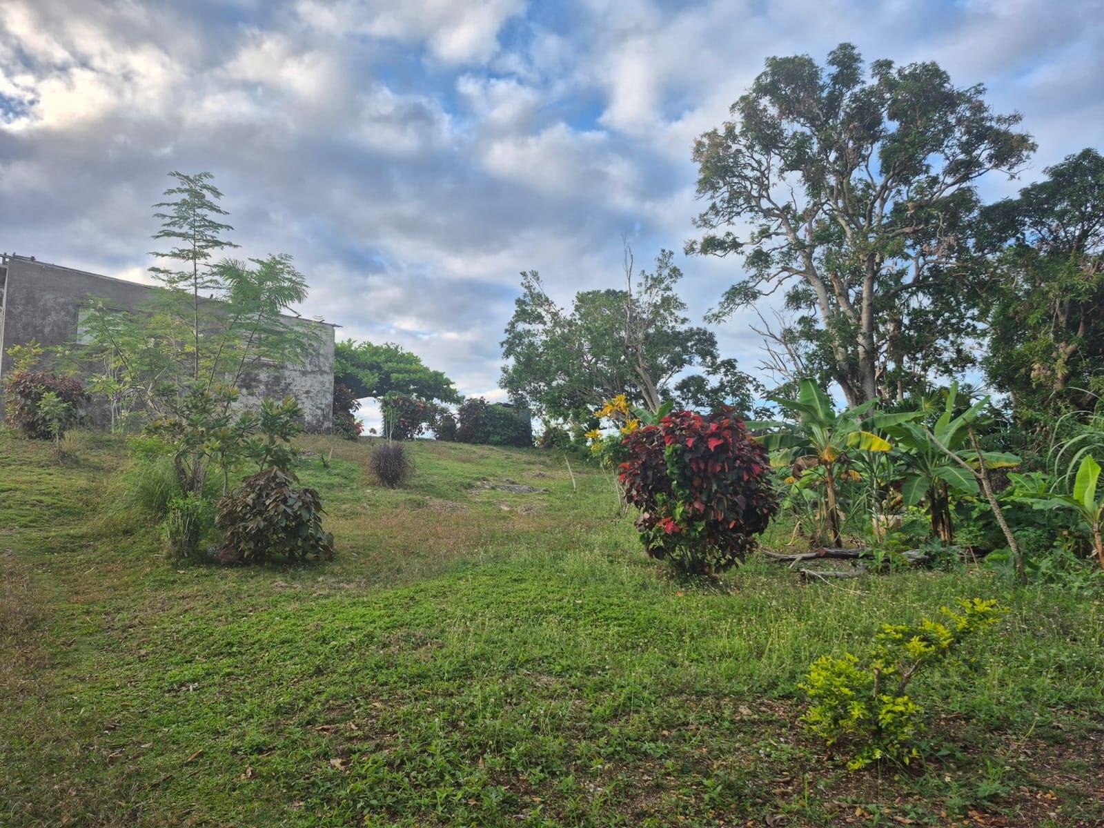 Fifth image of 00 St. Mary in Oracabessa, St. Mary, Jamaica - property is For Sale