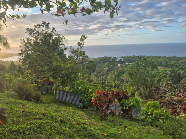 Eighth image of 00 St. Mary in Oracabessa, St. Mary, Jamaica - property is For Sale