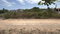 First image of Lot 44- Hartwell Gardens in Chateau, Clarendon, Jamaica - property is For Sale