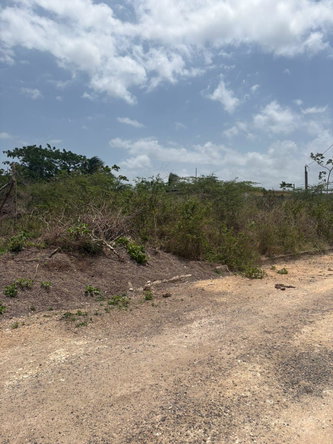 Second image of Lot 44- Hartwell Gardens in Chateau, Clarendon, Jamaica - property is For Sale
