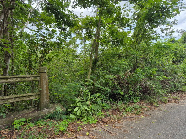 First image of 433 Barry And Lloyds in Guanaboa Vale, St. Catherine, Jamaica - property is For Sale