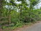 First image of 433 Barry And Lloyds in Guanaboa Vale, St. Catherine, Jamaica - property is For Sale