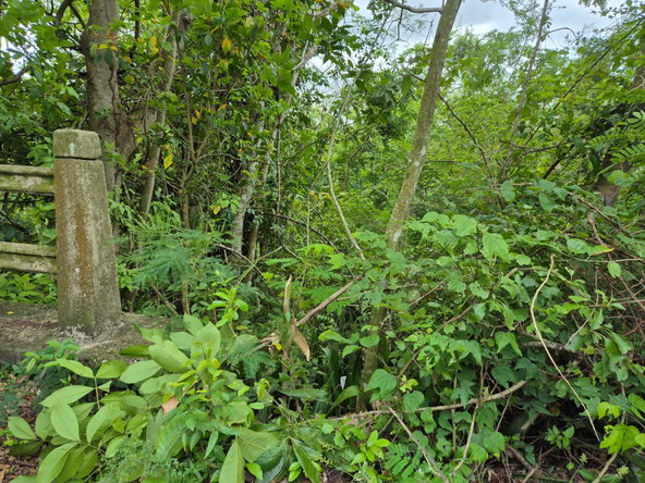 Second image of 433 Barry And Lloyds in Guanaboa Vale, St. Catherine, Jamaica - property is For Sale
