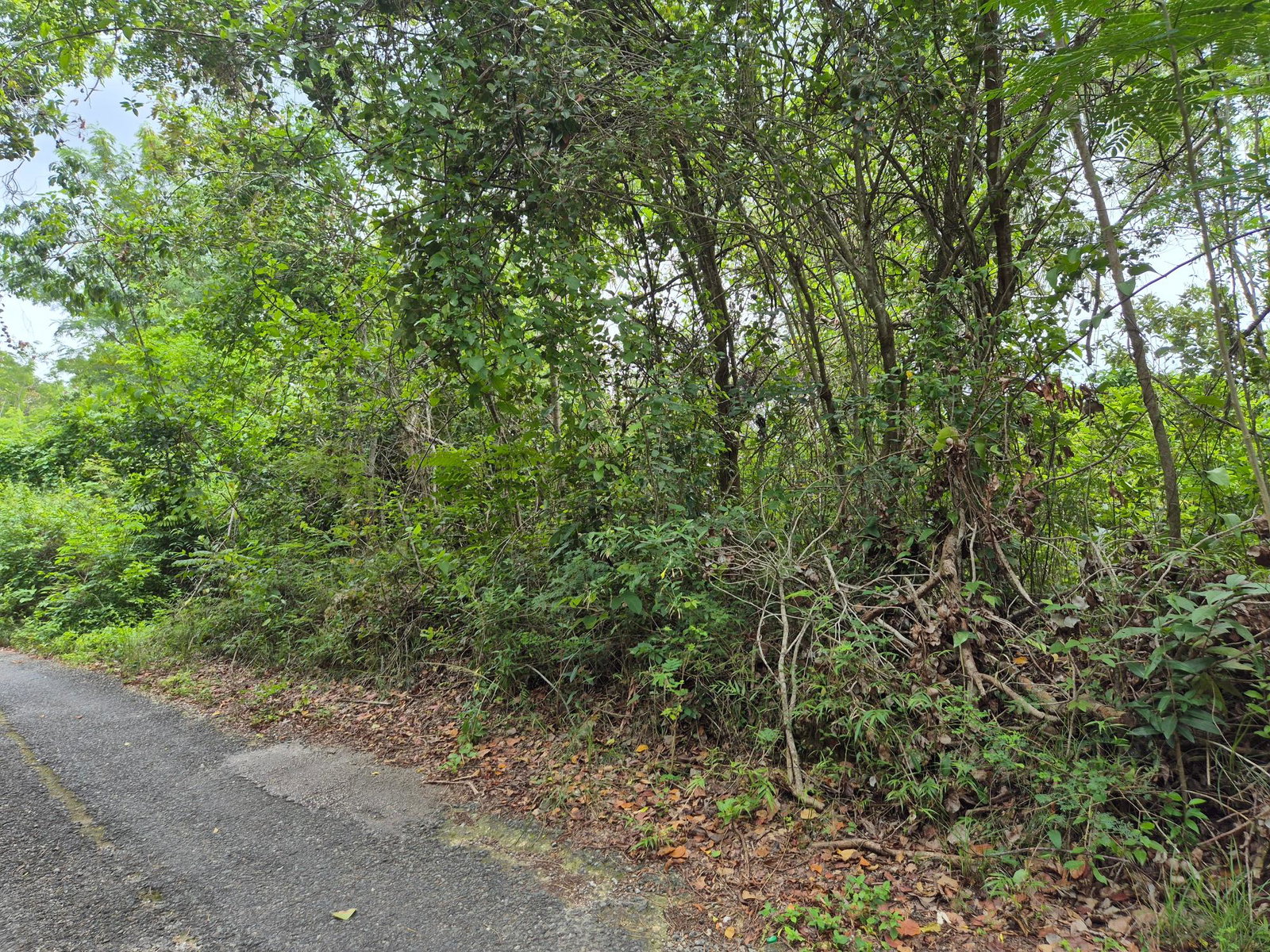Third image of 433 Barry And Lloyds in Guanaboa Vale, St. Catherine, Jamaica - property is For Sale