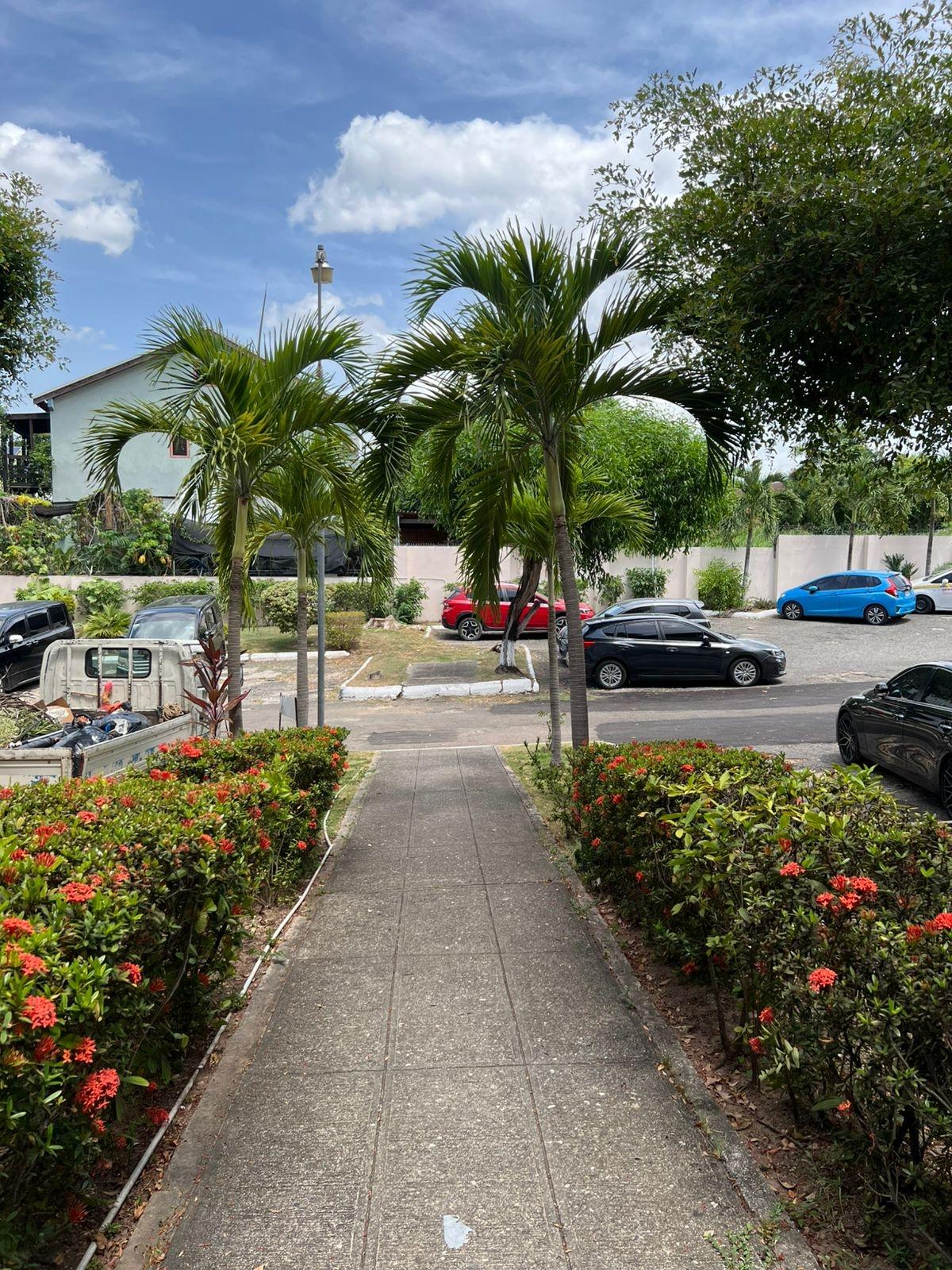 Ninth image of C3- Torrie Avenue in Kingston 8, St. Andrew, Jamaica - property is For Sale
