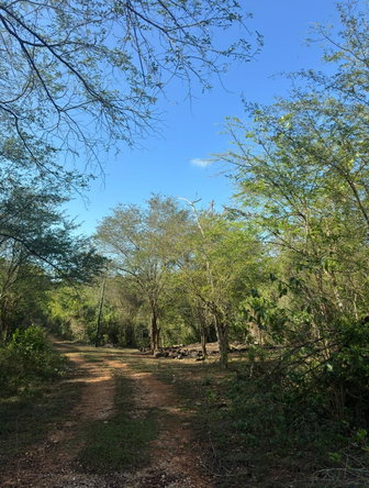 Third image of Discovery Bay - Ridge Pen in Discovery Bay, St. Ann, Jamaica - property is For Sale